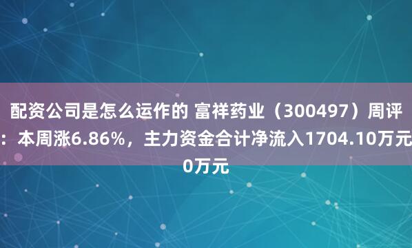 配资公司是怎么运作的 富祥药业（300497）周评：本周涨6.86%，主力资金合计净流入1704.10万元