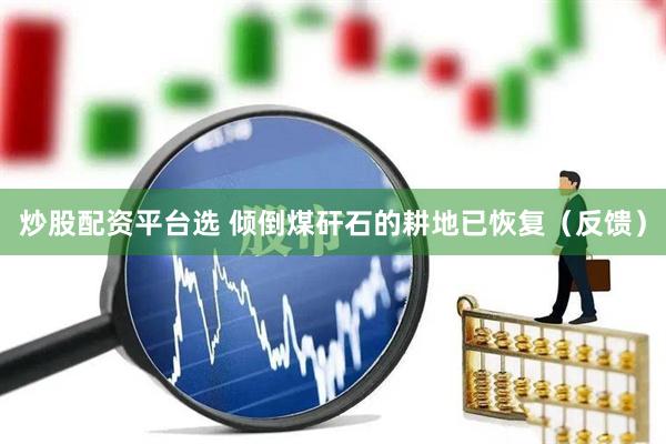 炒股配资平台选 倾倒煤矸石的耕地已恢复（反馈）