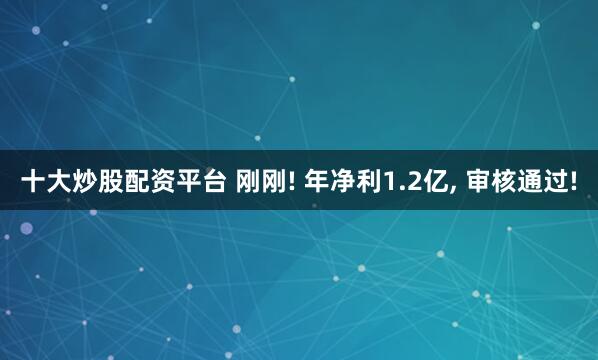 十大炒股配资平台 刚刚! 年净利1.2亿, 审核通过!